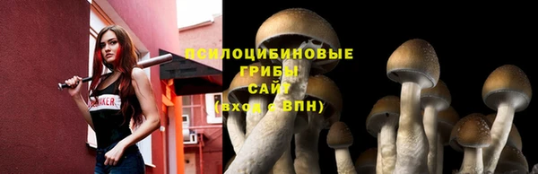 ALPHA-PVP Магас