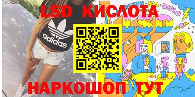 прущие грибы Абакан