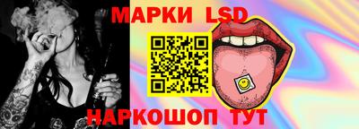 прущие грибы Абакан