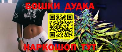 прущие грибы Абакан