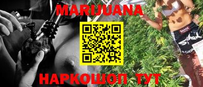 прущие грибы Абакан