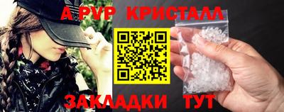 прущие грибы Абакан