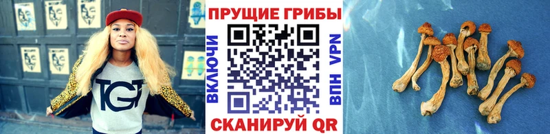 Псилоцибиновые грибы ЛСД  продажа наркотиков  Ачинск 