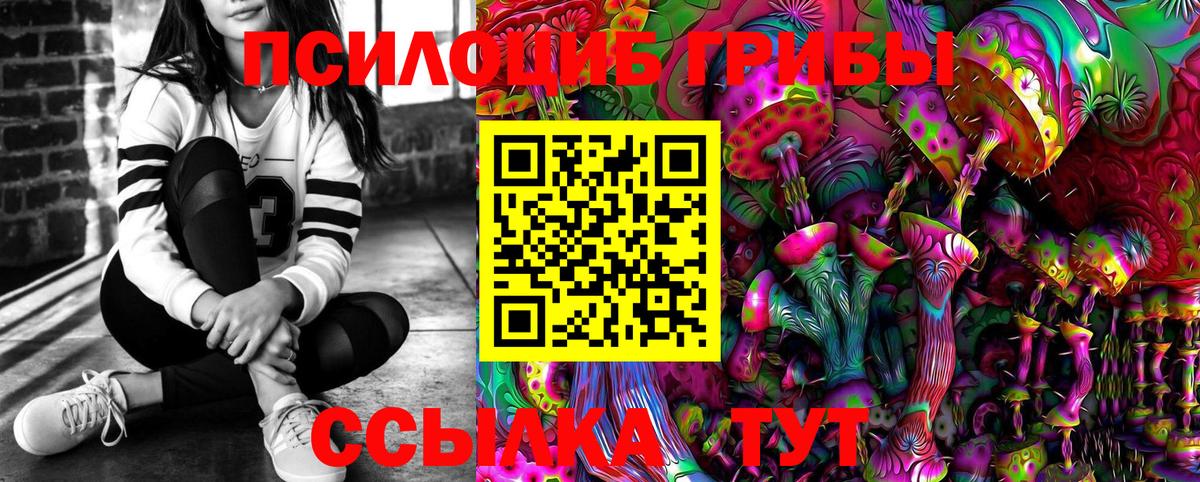 Псилоцибиновые грибы Cubensis  Ачинск 