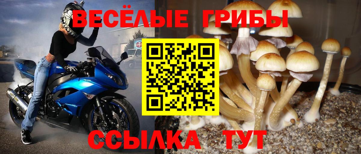Галлюциногенные грибы мухоморы  Вход с VPN  Ачинск 