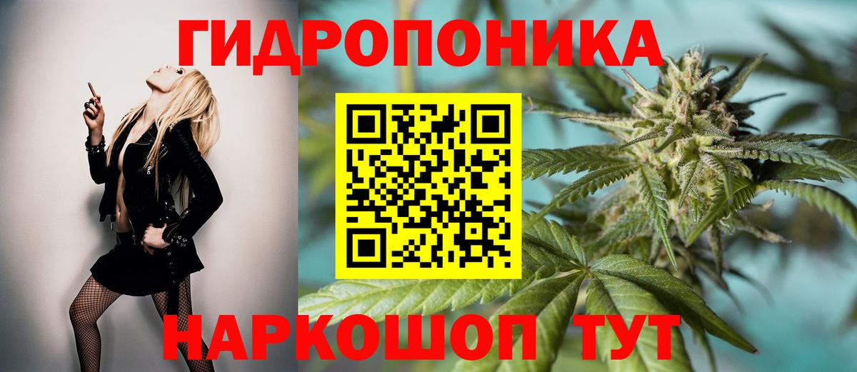 Конопля ГИДРОПОН  Конопля OG Kush  Каннабис индика  Вход с VPN  Ачинск 