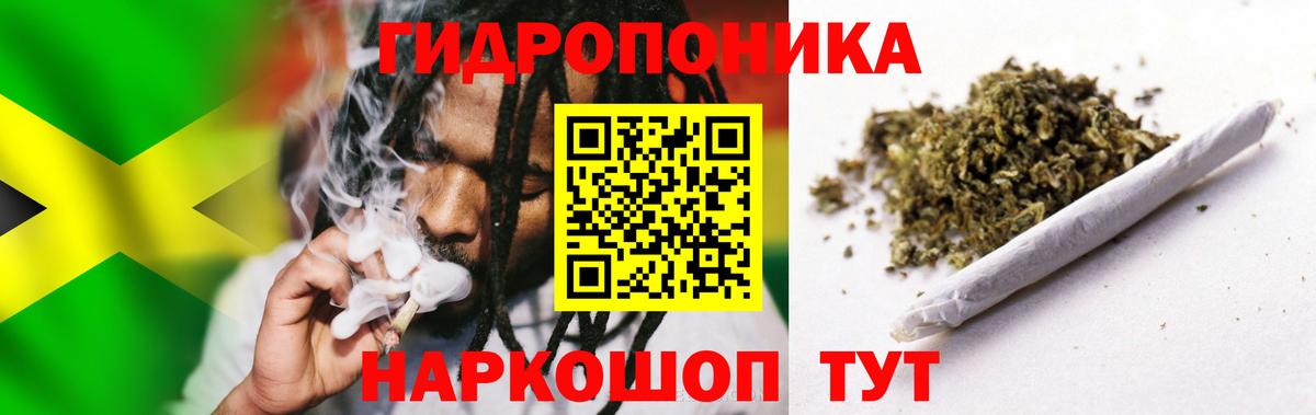 Марихуана семена Ачинск